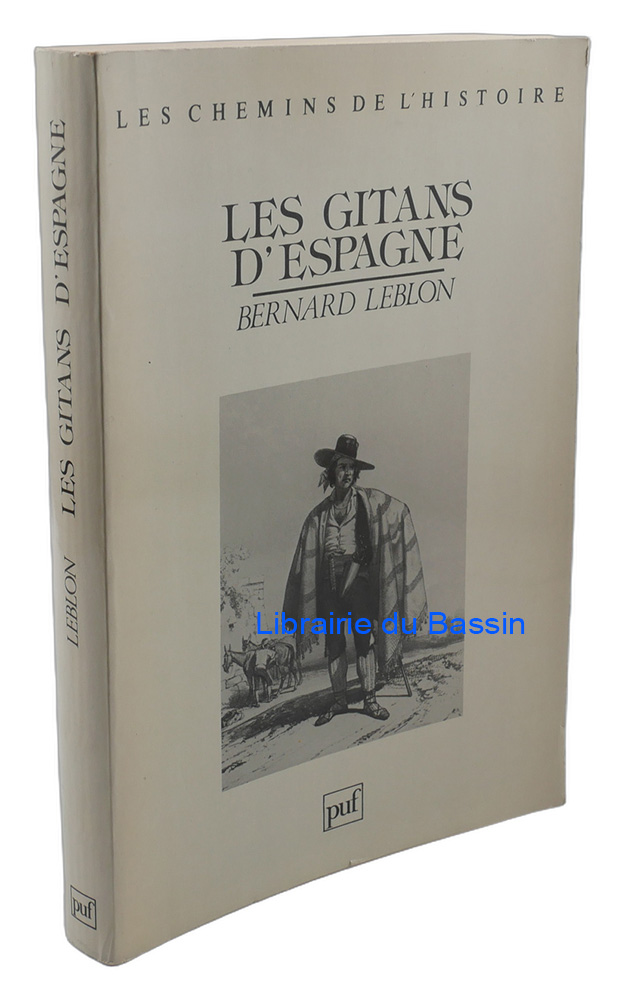 Livre moderne : Les gitans d'Espagne