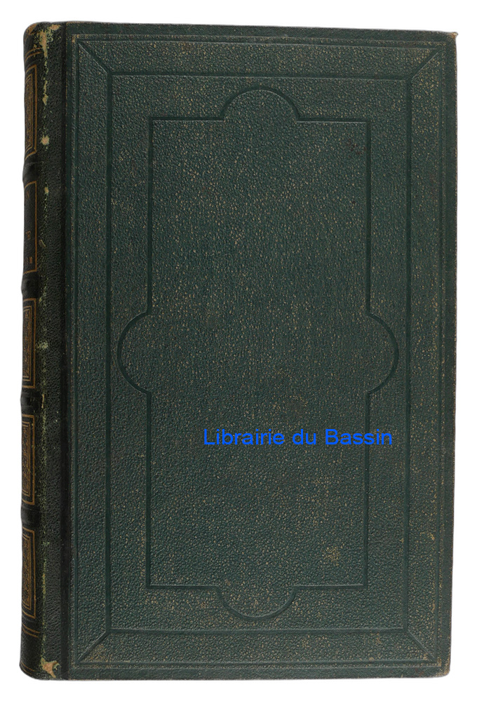 Livre moderne : Le Don Quichotte de la jeunesse