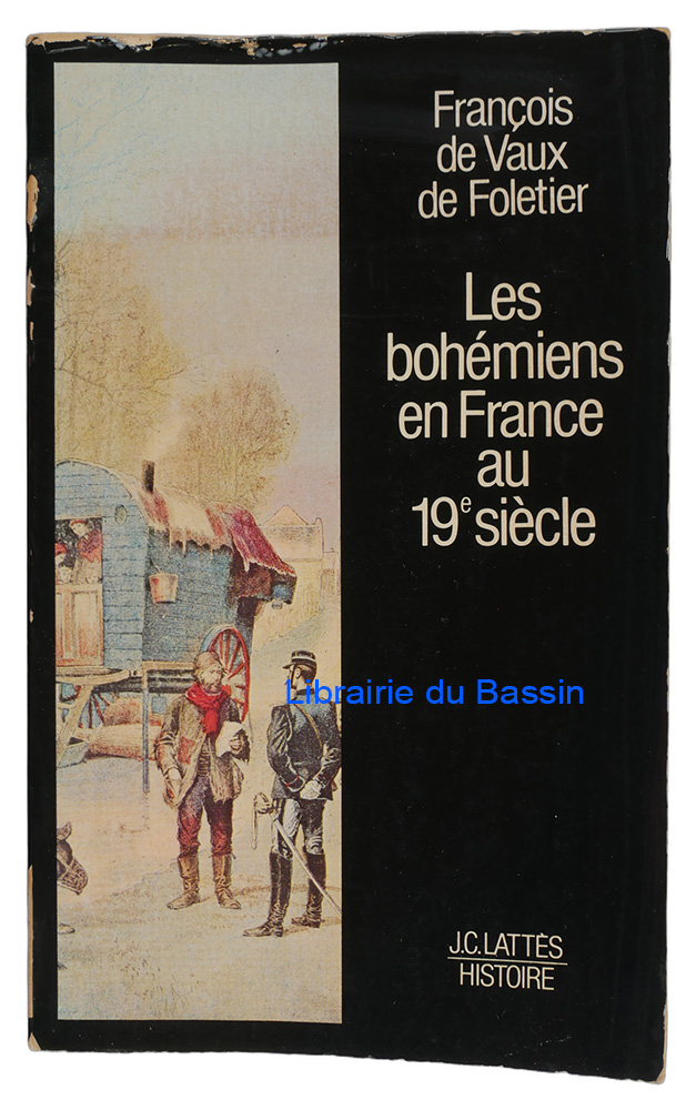 Livre moderne : Les Bohémiens en France au 19e siècle