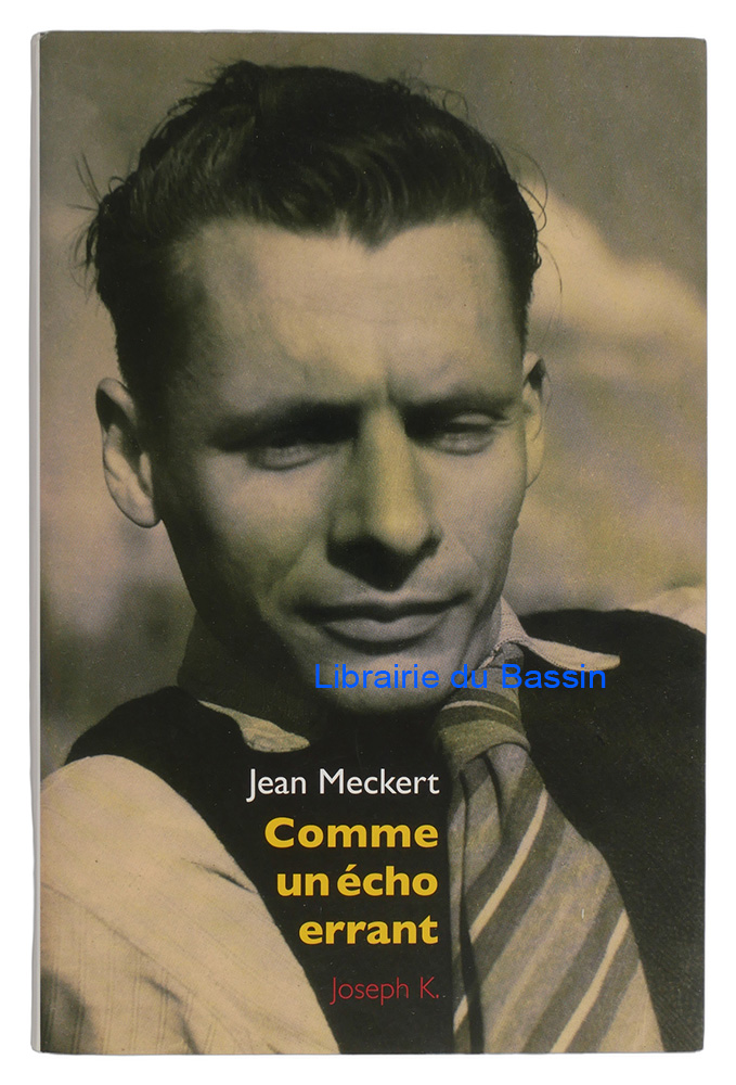 Livre moderne : Comme un écho errant