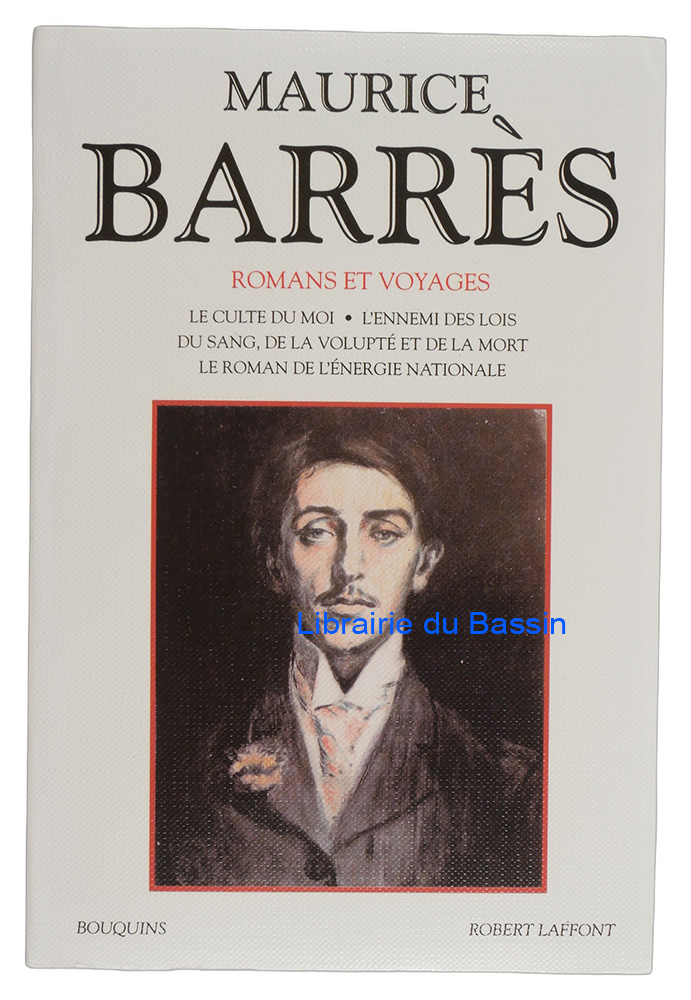 Livre moderne : Romans et voyages