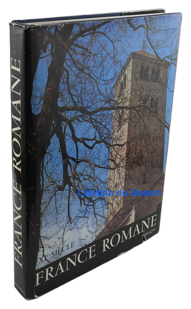 Livre moderne : France romane Tome 1 XIe siècle