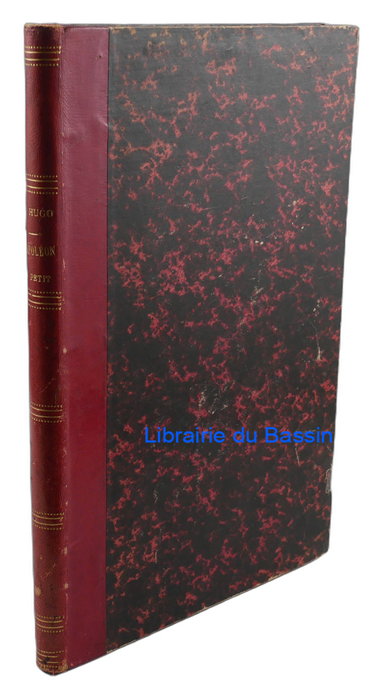 Livre moderne : Napoléon Le petit