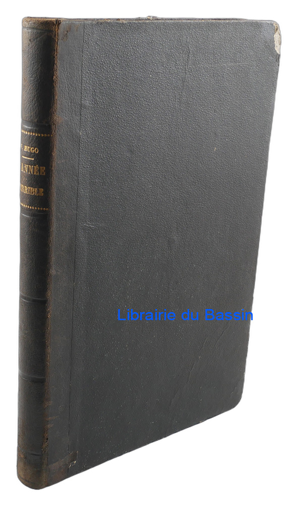 Livre moderne : L'année terrible