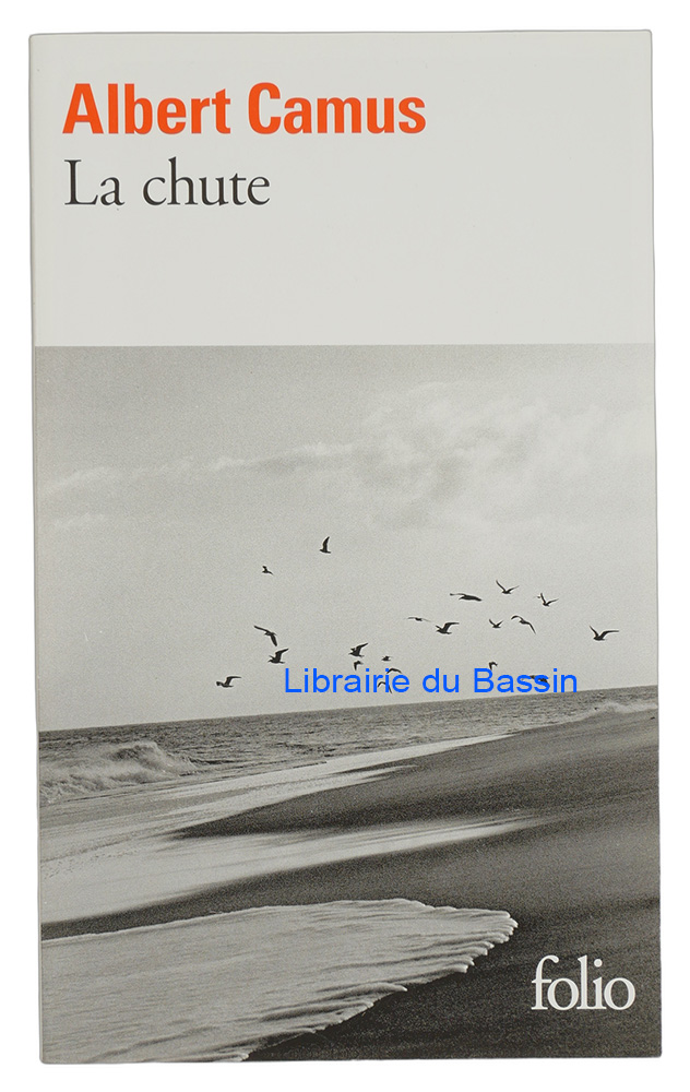 Livre moderne : La chute