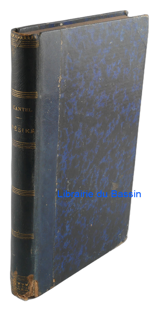 Livre moderne : Impressions et visions