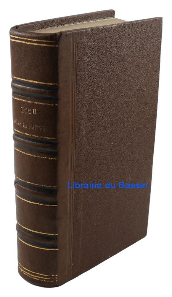 Livre moderne : Dieu dans la nature