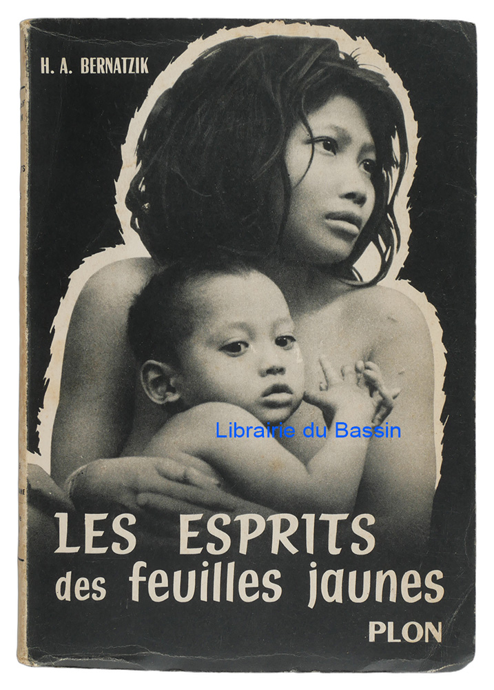 Livre moderne : Les esprits des feuilles jaunes