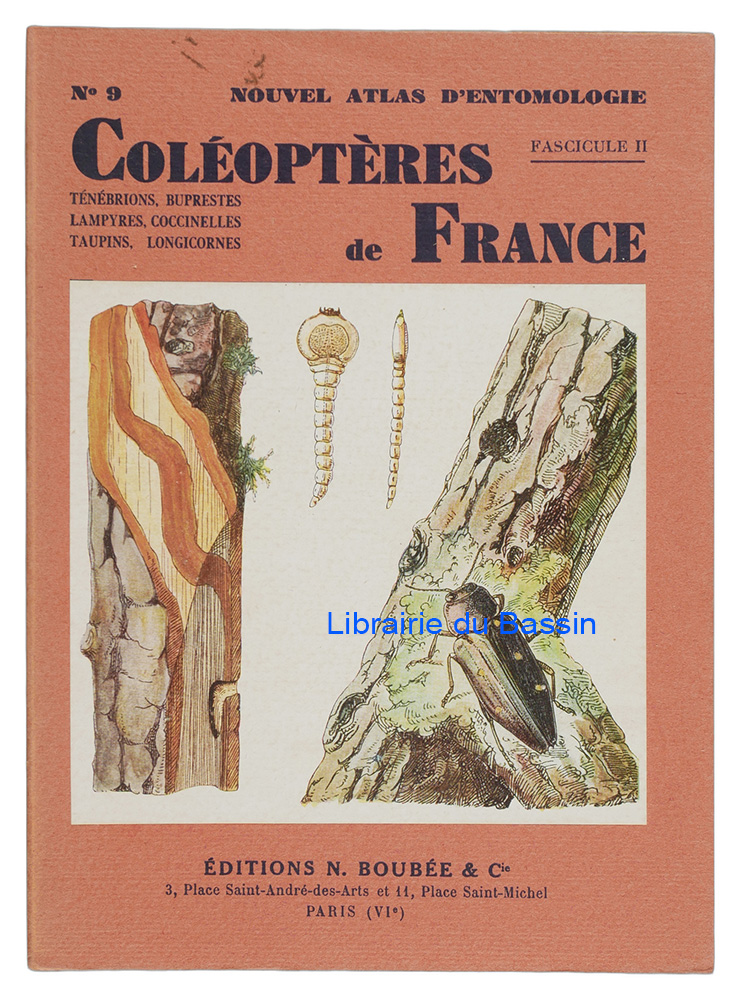 Livre moderne : Atlas des coléoptères de France Fascicule II Ténébrions, Buprestes, Lampyres, Coccinelles, Taupins, Longicornes