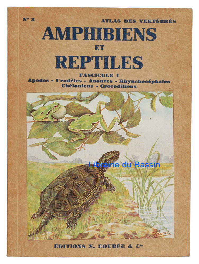 Livre moderne : Petit atlas des amphibiens et reptiles Fascicule I Apodes, urodèles, anoures, rhynchocéphales, chéloniens, crocodiliens