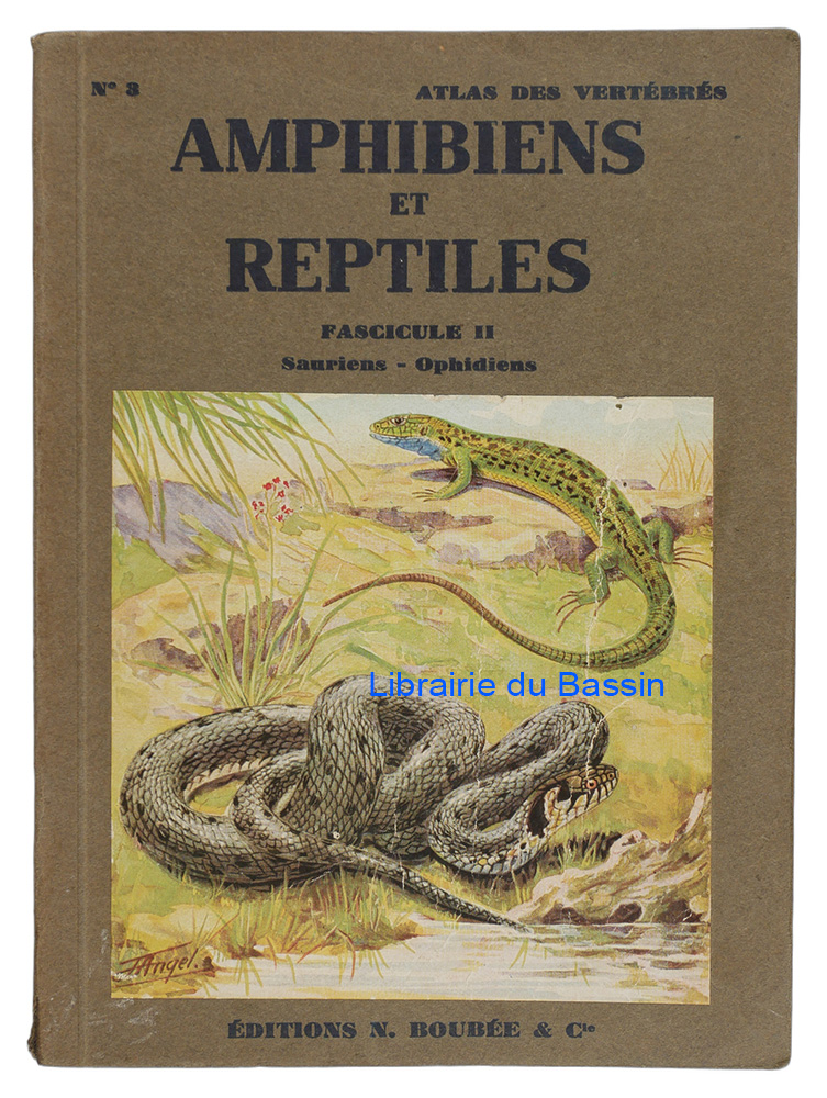 Livre moderne : Petit atlas des amphibiens et reptiles Fascicule II Sauriens Ophidiens