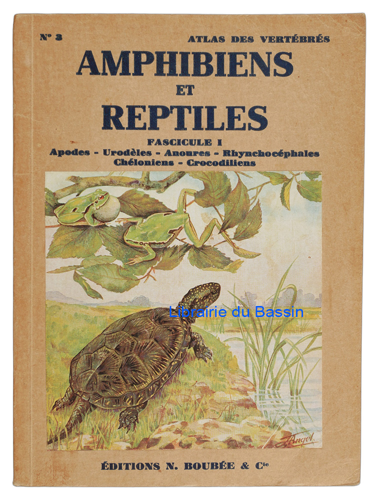 Livre moderne : Petit atlas des amphibiens et reptiles Fascicule I Apodes, urodèles, anoures, rhynchocéphales, chéloniens, crocodiliens