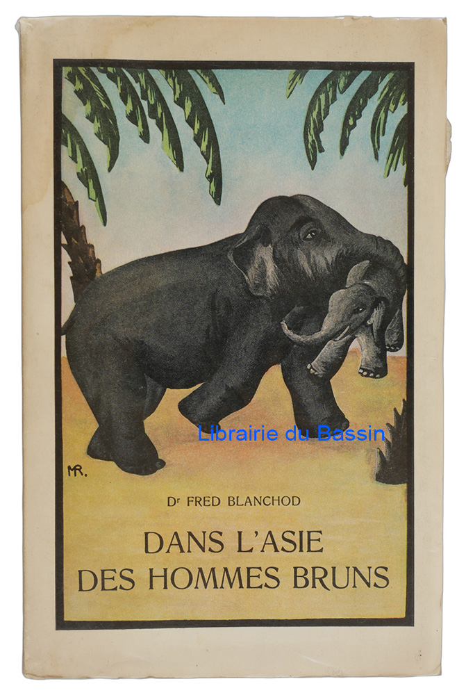 Livre moderne : Dans l'Asie des hommes bruns Voyage aux Indes