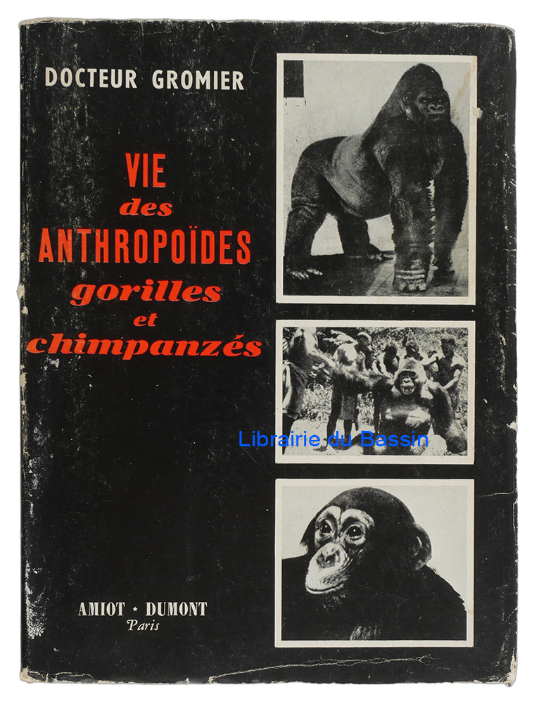 Livre moderne : La vie des anthropoïdes Gorilles et chimpanzés Grands fauves d'Afrique III