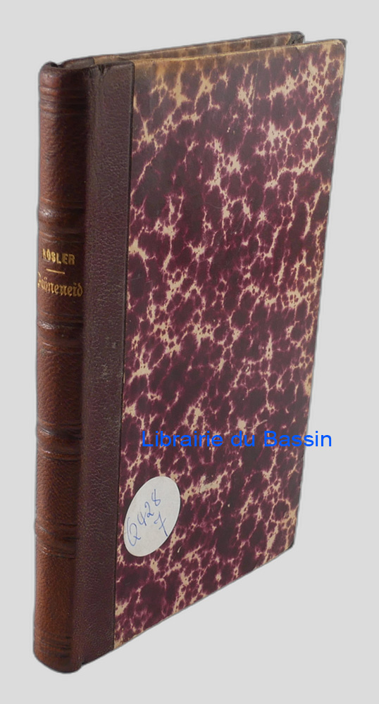 Livre moderne : Der Fahneneid des christlichen Mannes