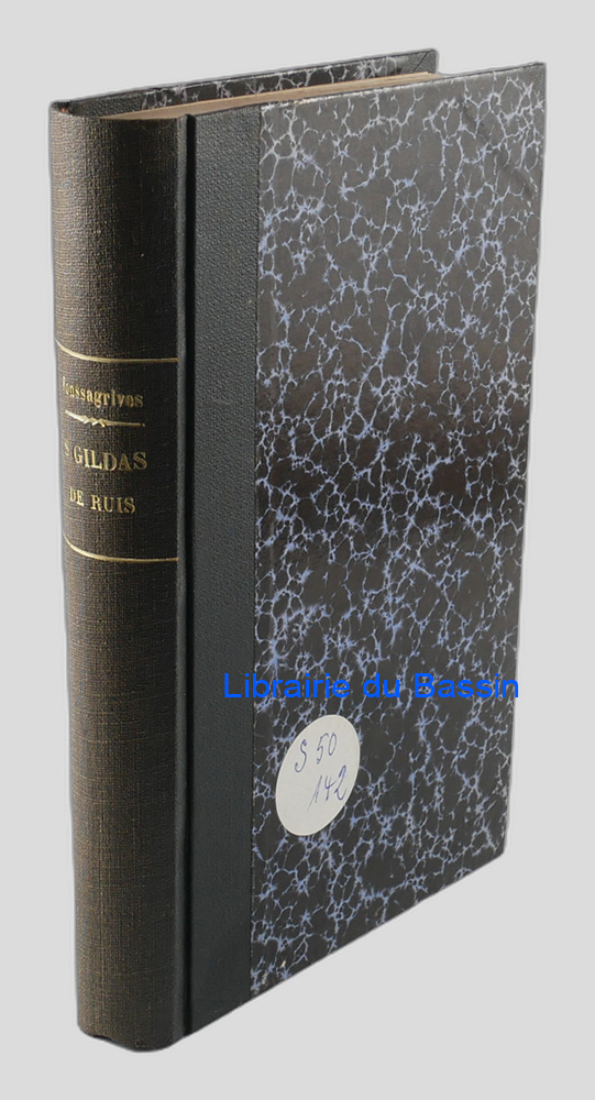 Livre moderne : Saint Gildas de Ruis et la société bretonne au VIe siècle (493-570)