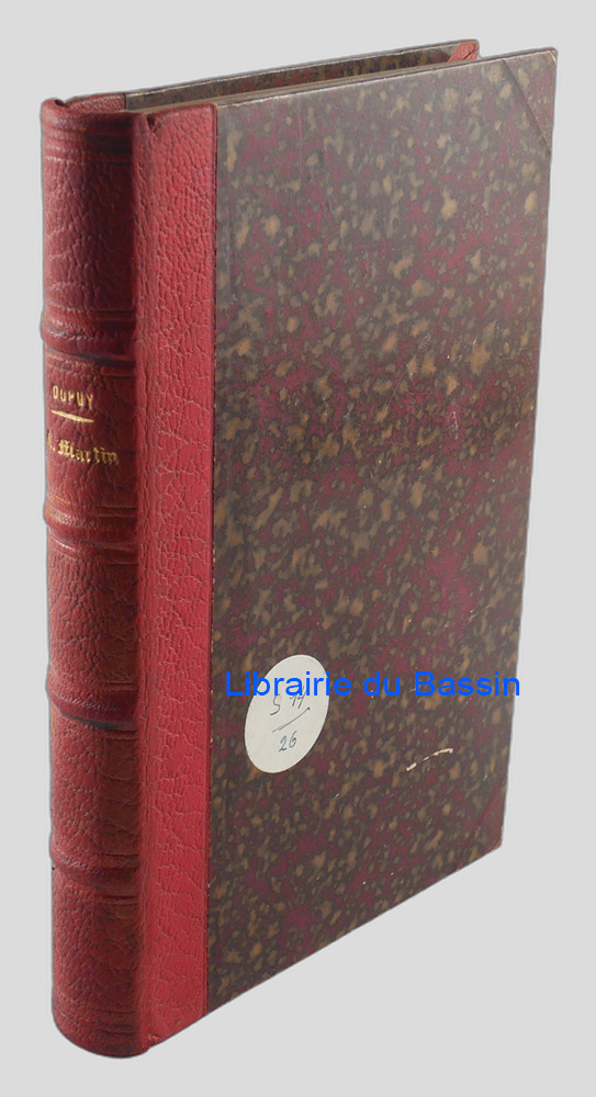 Livre moderne : Geschichte des heiligen Martin, Bischofs von Tours, und seiner Zeit