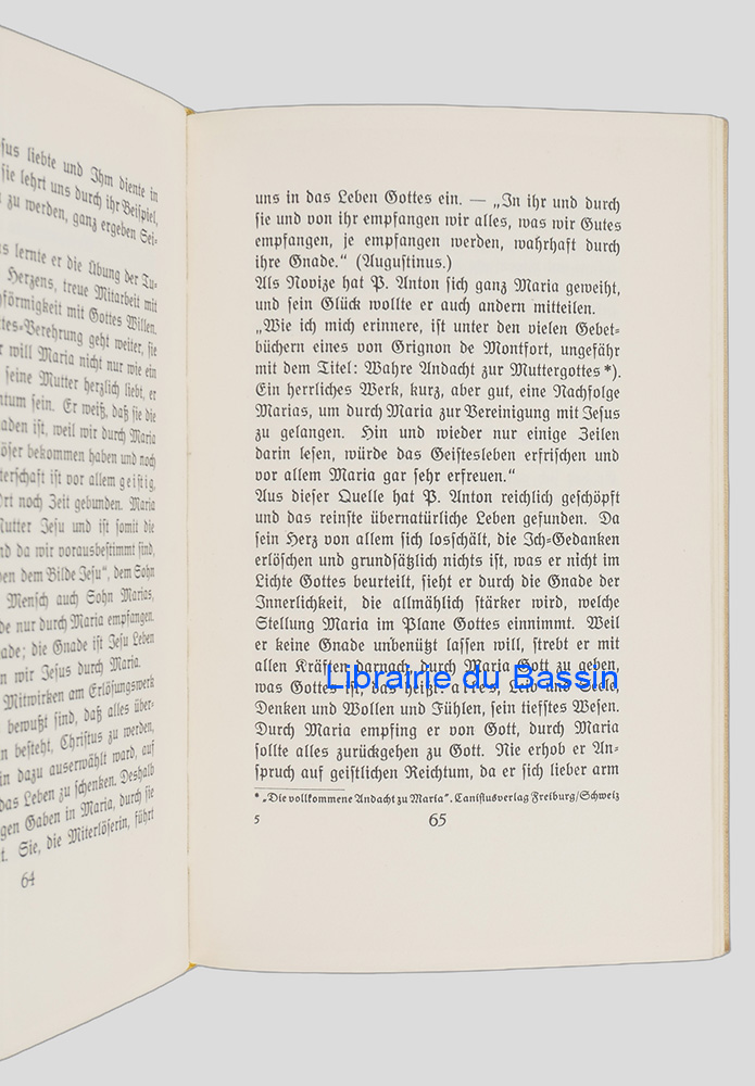 Photo 5