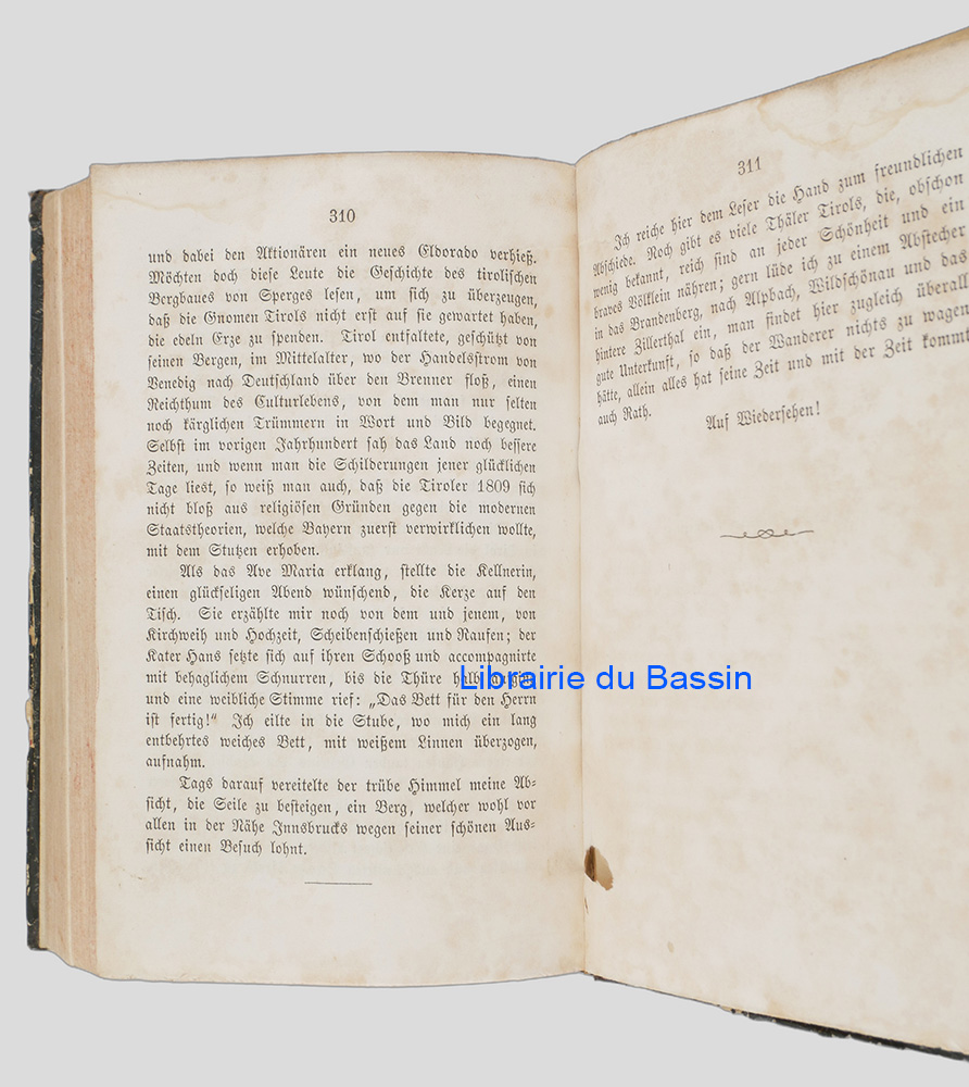 Photo 11