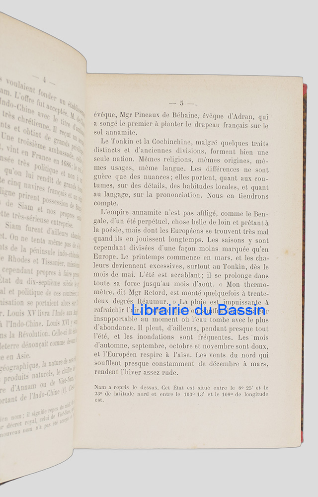 Photo 5