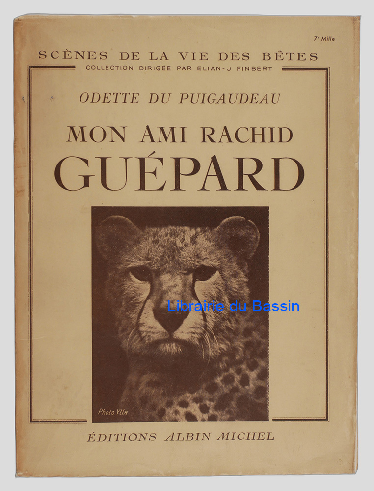 Livre moderne : Mon ami Rachid guépard
