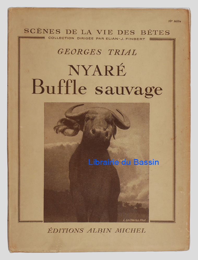 Livre moderne : Nyaré Buffle sauvage