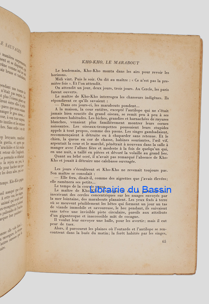 Photo 5