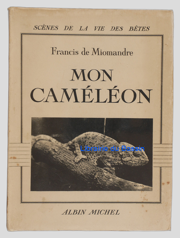 Livre moderne : Mon caméléon