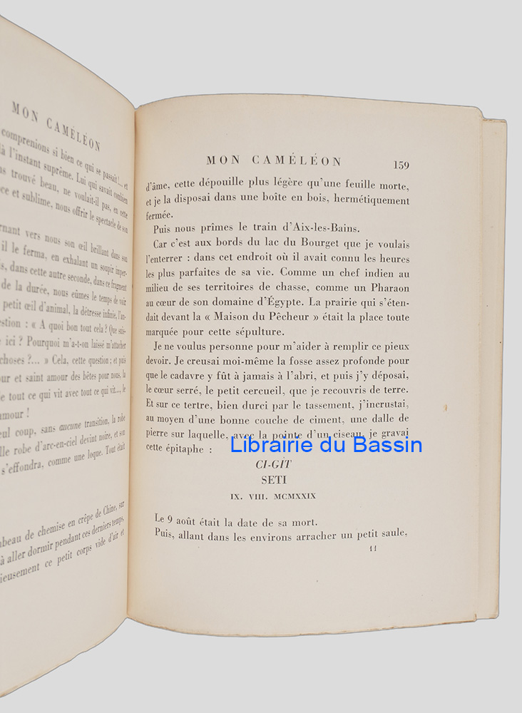 Photo 5