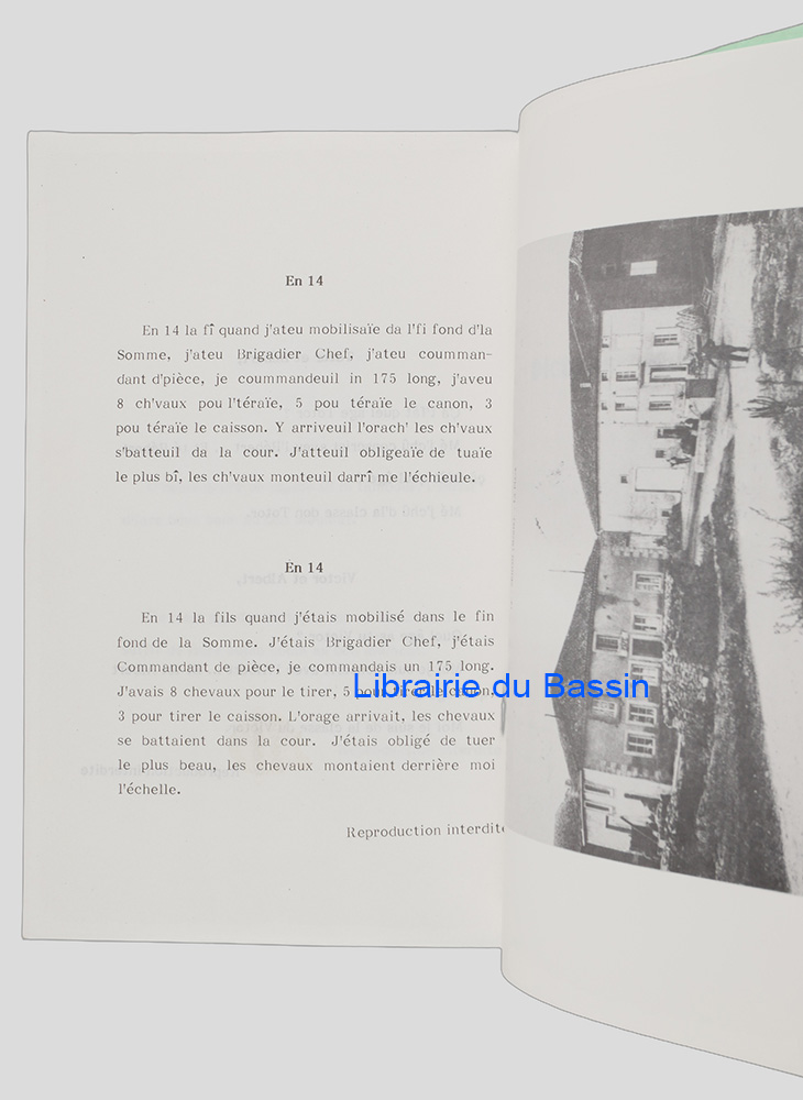 Photo 3