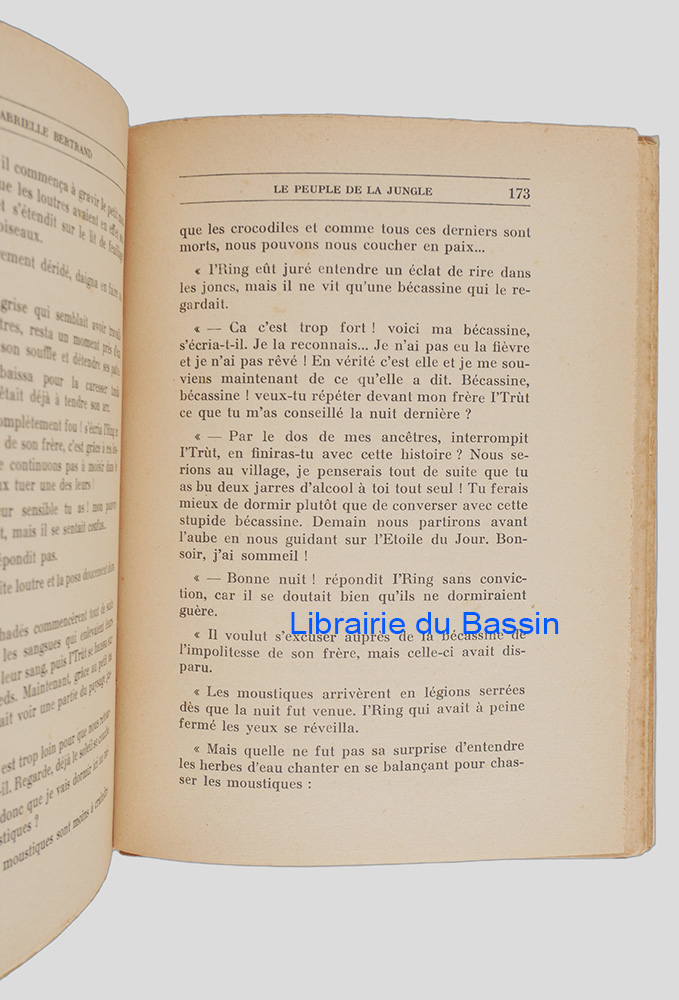 Photo 4