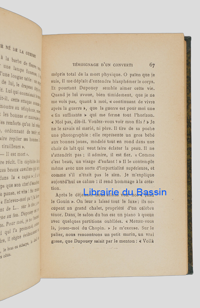 Photo 6