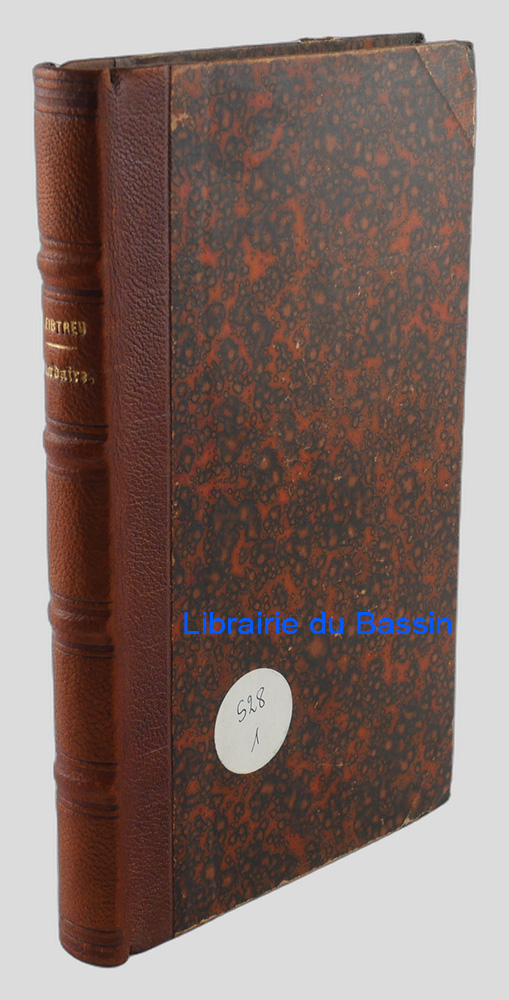 Livre moderne : Pater Lacordaire's Leben und Wirken
