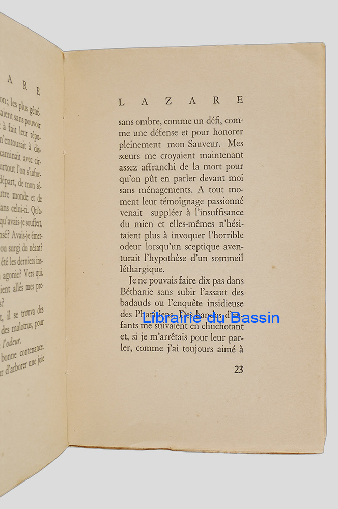 Photo 6