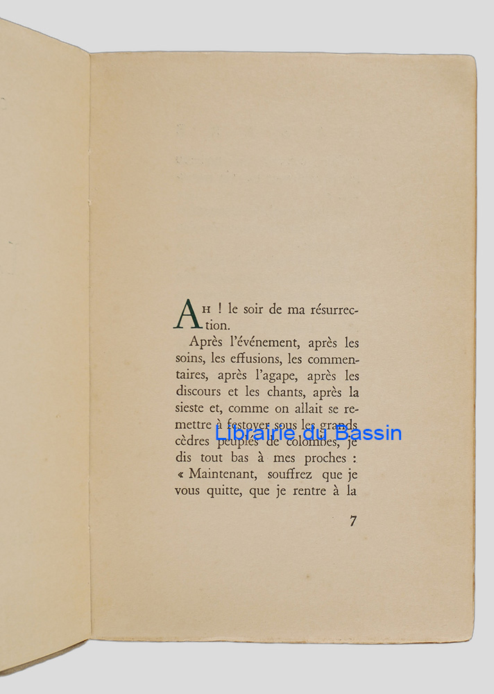 Photo 8