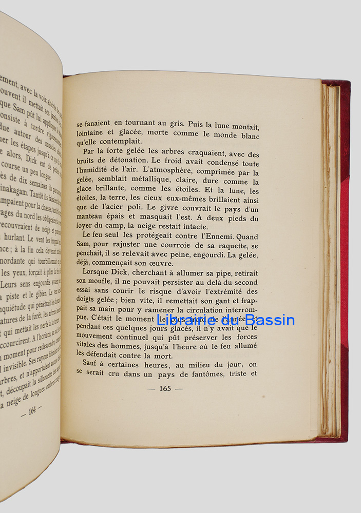 Photo 7