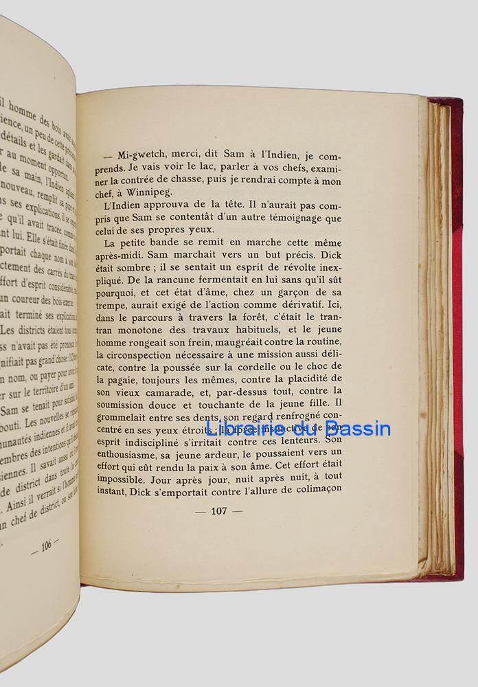 Photo 8