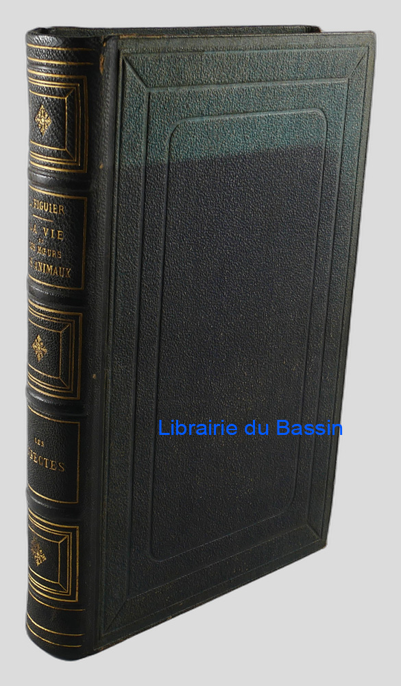 Livre moderne : Les insectes