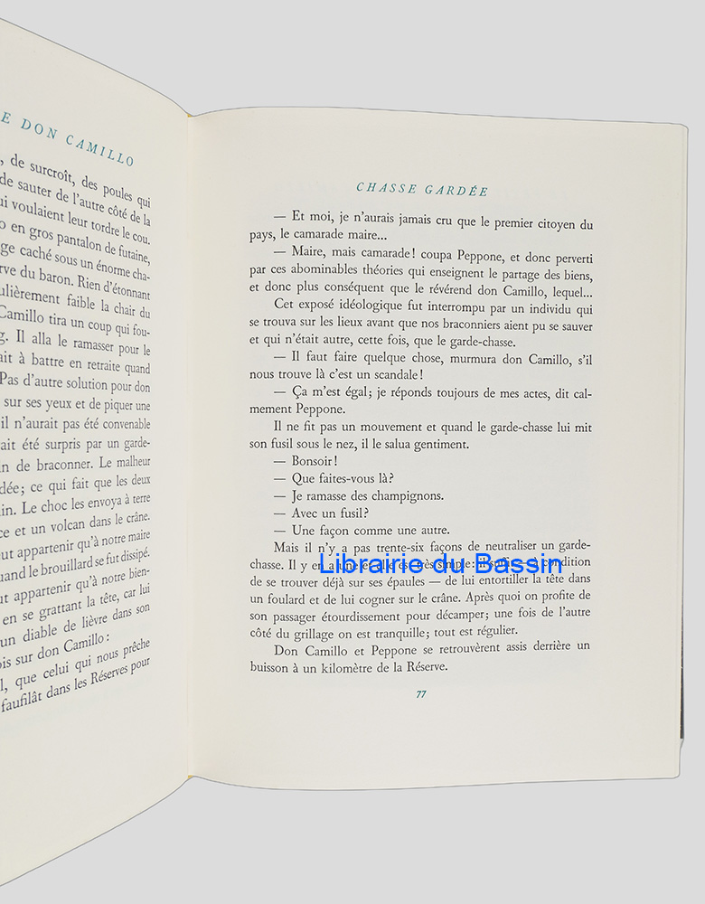 Photo 11