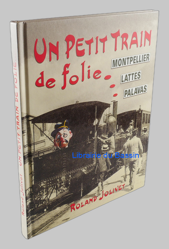 Livre moderne : Un petit train de folie