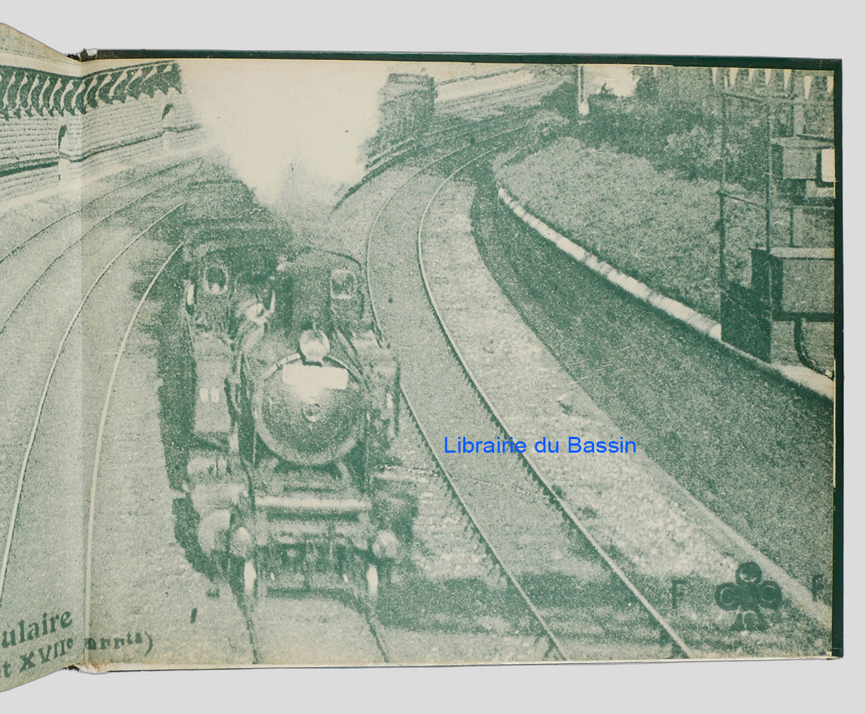 Photo 11