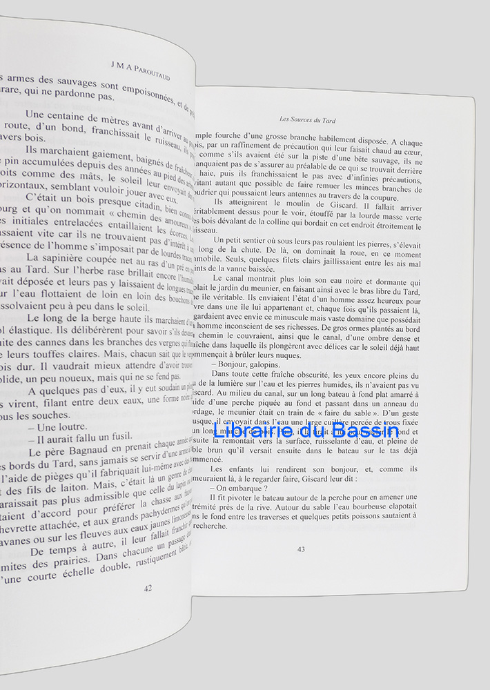Photo 6