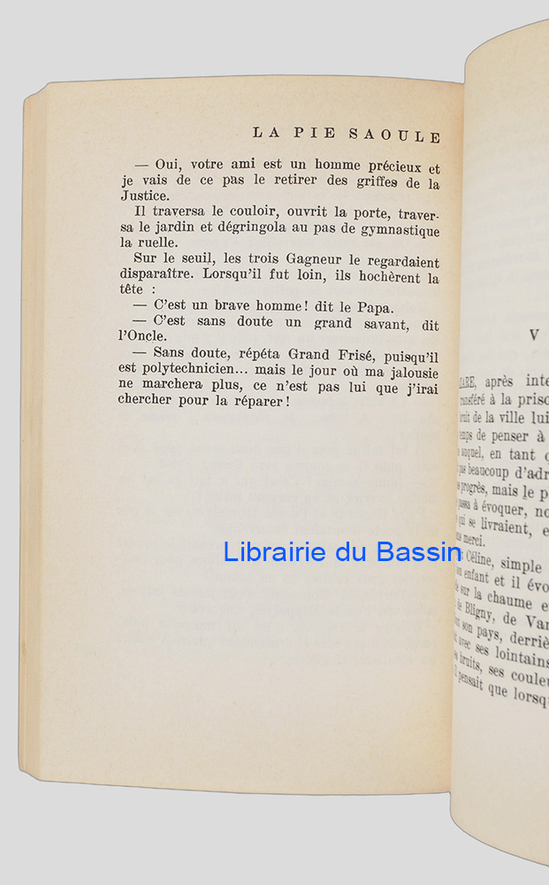 Photo 5