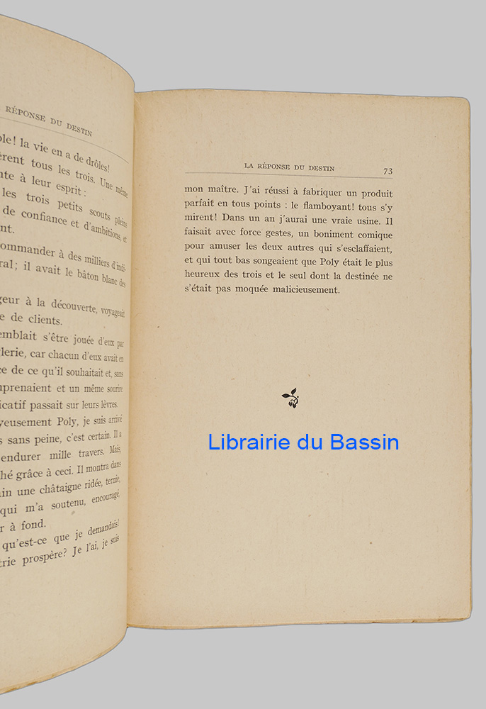 Photo 4