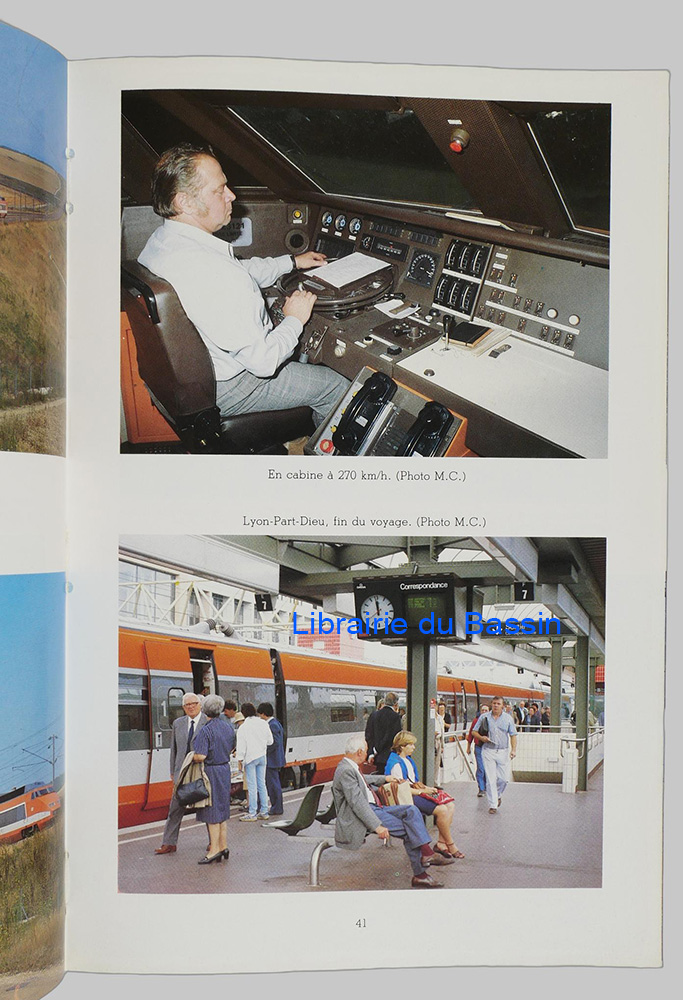 Photo 4