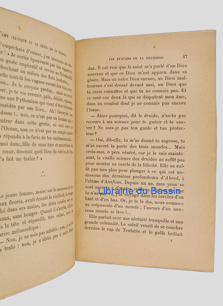 Photo 4