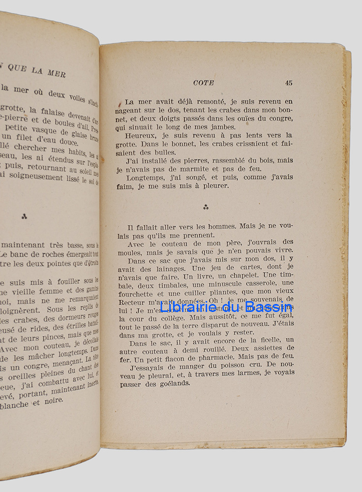 Photo 3