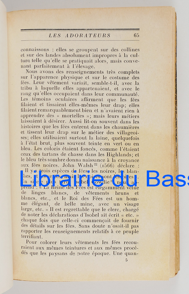 Photo 5
